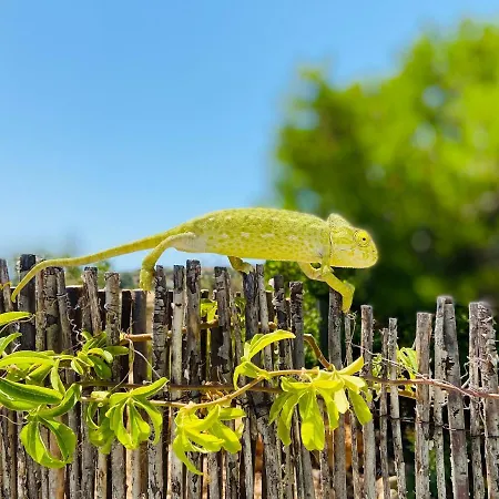 Casa Querida * 塔维拉