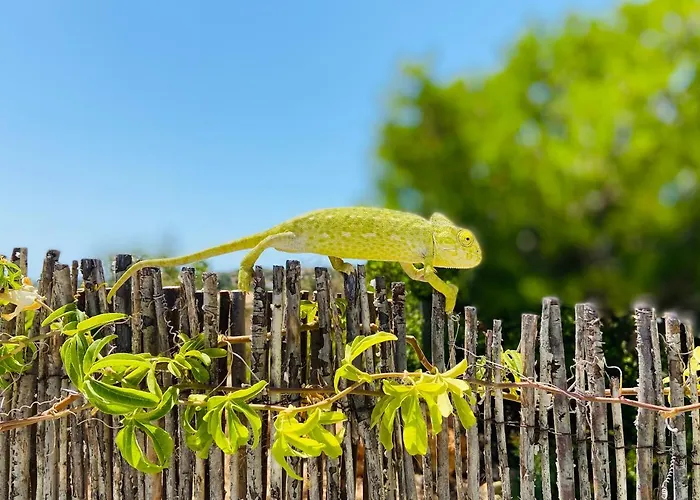Casa Querida * Tavira