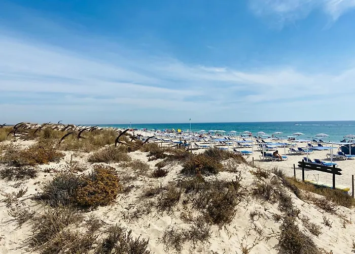 Casa de Férias Casa Querida Tavira